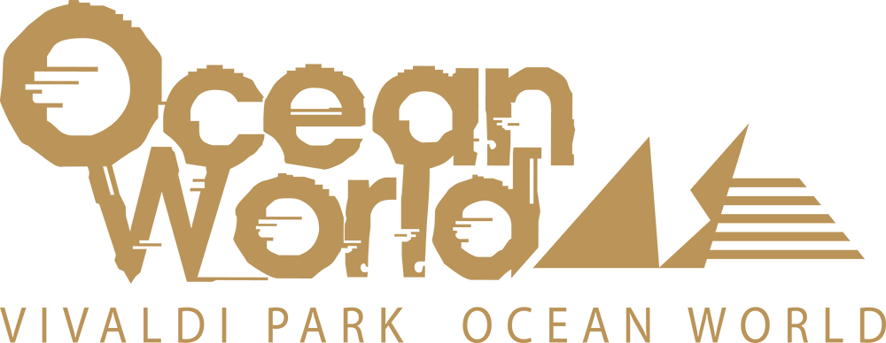 ���ǿ���